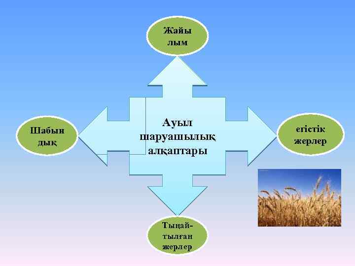 Жайы лым Шабын дық Ауыл шаруашылық алқаптары Тыңайтылған жерлер егістік жерлер 