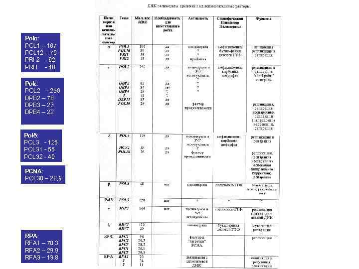 Polα: POL 1 – 167 POL 12 – 79 PRI 2 - 62 PRI
