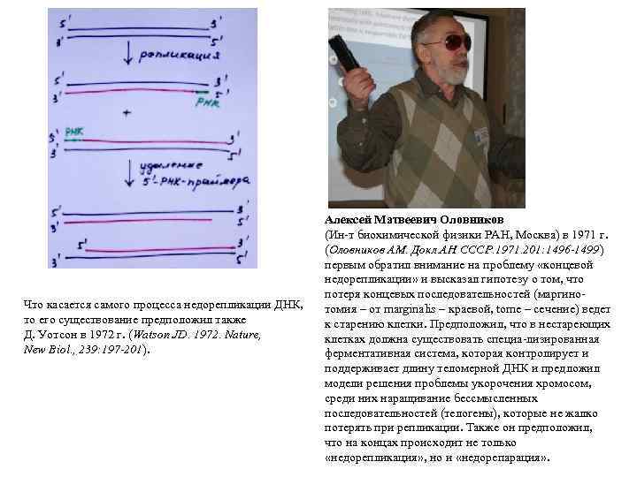 Что касается самого процесса недорепликации ДНК, то его существование предположил также Д. Уотсон в