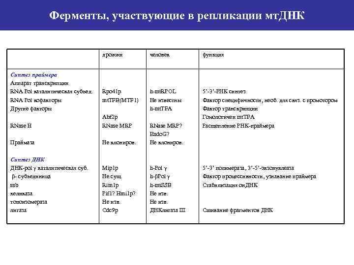 В процессе репликации участвуют ферменты