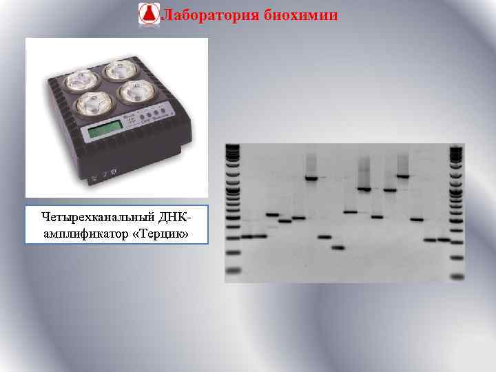 Лаборатория биохимии Четырехканальный ДНКамплификатор «Терцик» 