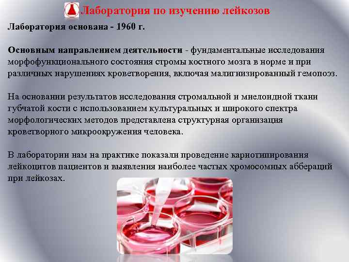 Лаборатория по изучению лейкозов Лаборатория основана - 1960 г. Основным направлением деятельности - фундаментальные
