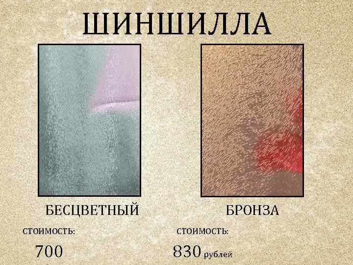 ШИНШИЛЛА БЕСЦВЕТНЫЙ БРОНЗА СТОИМОСТЬ: 700 830 рублей 