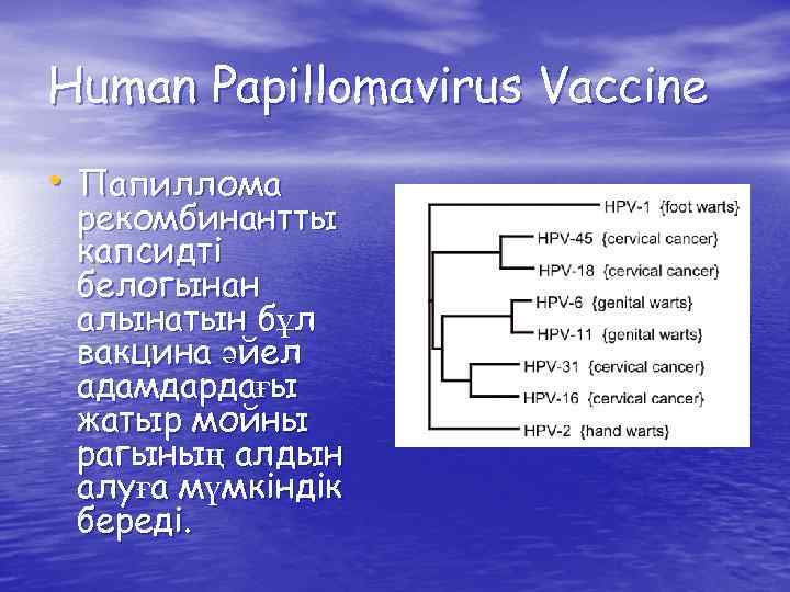 Human Papillomavirus Vaccine • Папиллома рекомбинантты капсидті белогынан алынатын бұл вакцина әйел адамдардағы жатыр