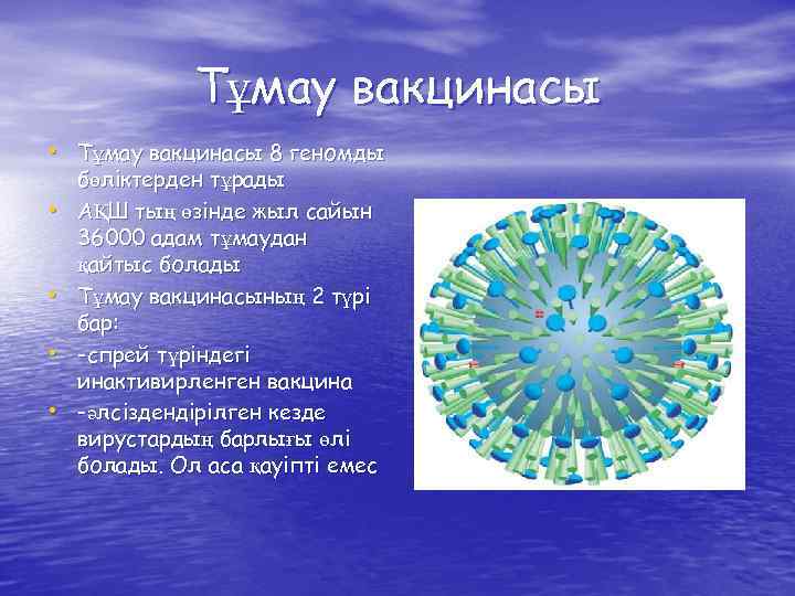 Тұмау вакцинасы • Тұмау вакцинасы 8 геномды • • бөліктерден тұрады АҚШ тың өзінде