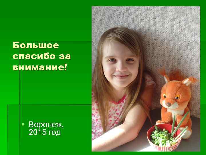 Большое спасибо за внимание! § Воронеж, 2015 год 