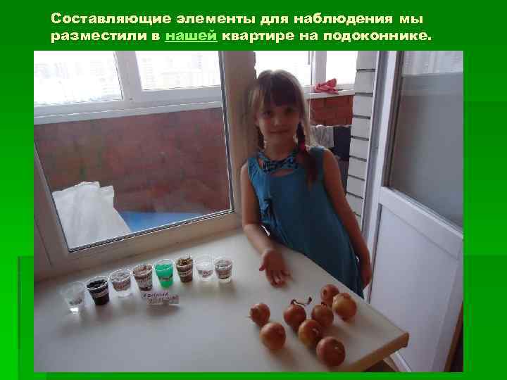 Составляющие элементы для наблюдения мы разместили в нашей квартире на подоконнике. 