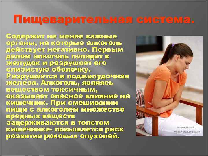 Пищеварительная система. Содержит не менее важные органы, на которые алкоголь действует негативно. Первым делом