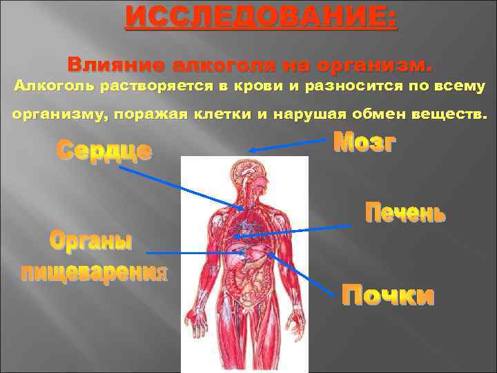 План рассказа забава которая приводит к смерти