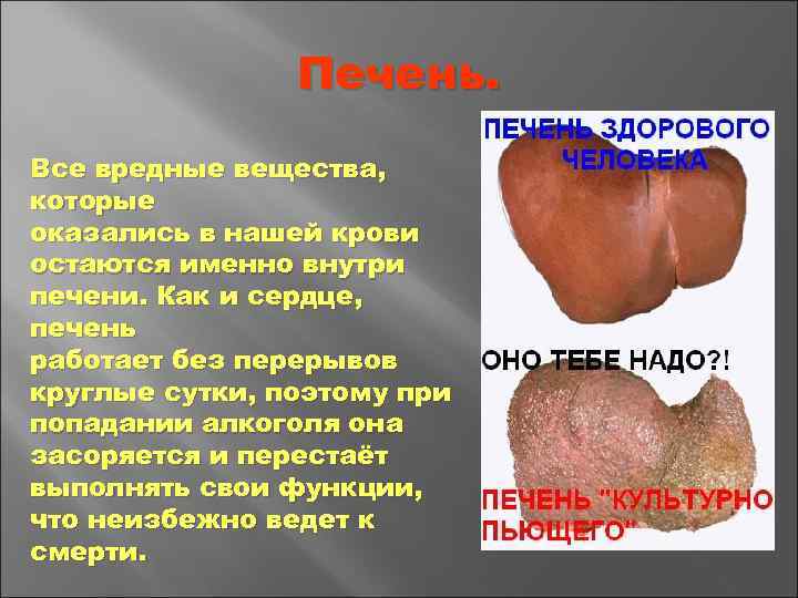 Печень. Все вредные вещества, которые оказались в нашей крови остаются именно внутри печени. Как