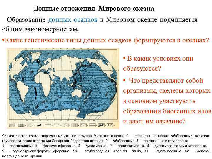 Карта осадков дно