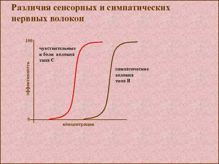 Различия сенсорных и симпатических нервных волокон эффективность 100 0 чувствительные к боли волокна типа