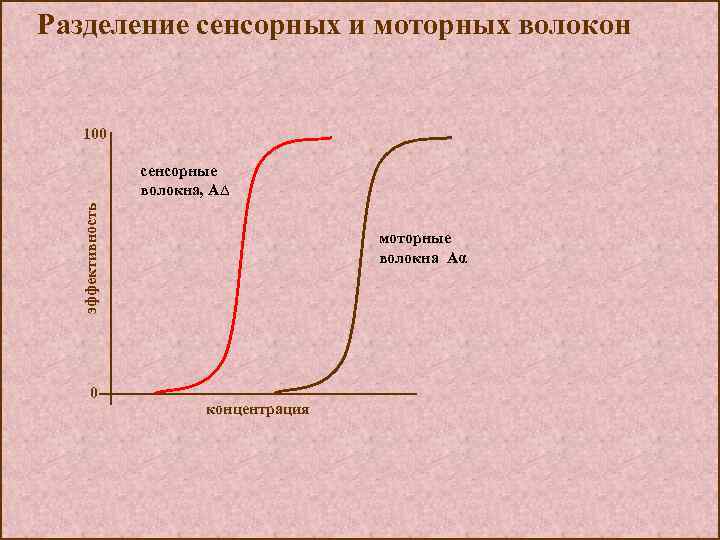 Разделение сенсорных и моторных волокон эффективность 100 0 сенсорные волокна, А∆ моторные волокна Аα