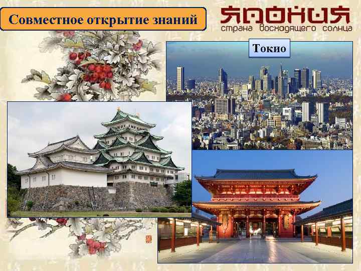 Совместное открытие знаний Токио 