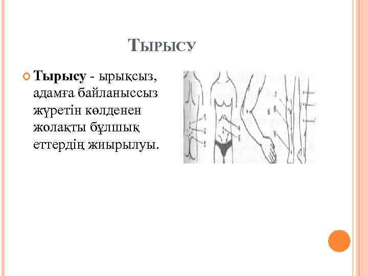 ТЫРЫСУ Тырысу - ырықсыз, адамға байланыссыз жүретін көлденен жолақты бұлшық еттердің жиырылуы. 