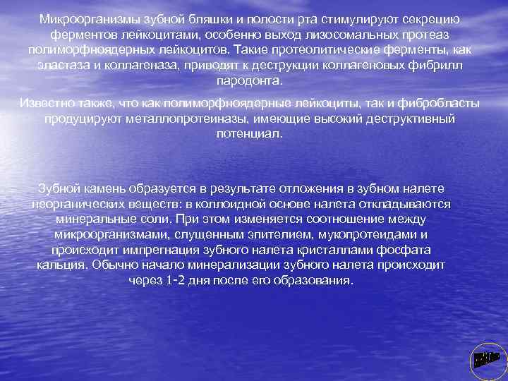 Микроорганизмы зубной бляшки и полости рта стимулируют секрецию ферментов лейкоцитами, особенно выход лизосомальных протеаз