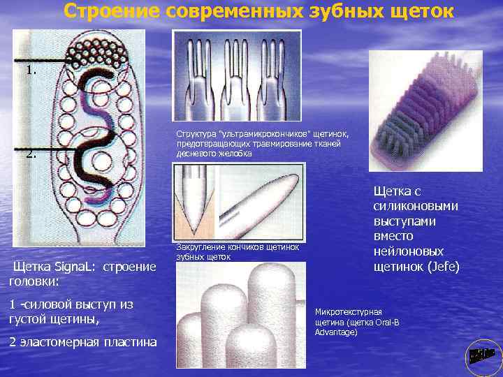 Строение современных зубных щеток 1. 2. Щетка Signa. L: строение головки: 1 силовой выступ