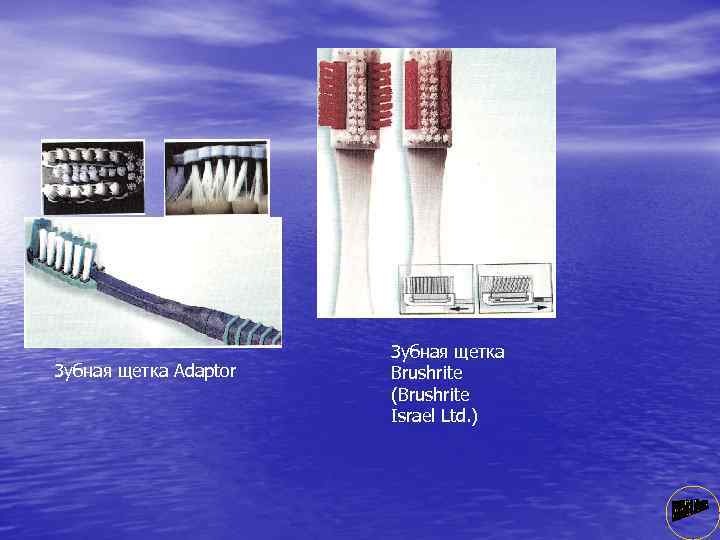 3 убная щетка Adaptor Зубная щетка Brushrite (Brushrite Israel Ltd. ) 