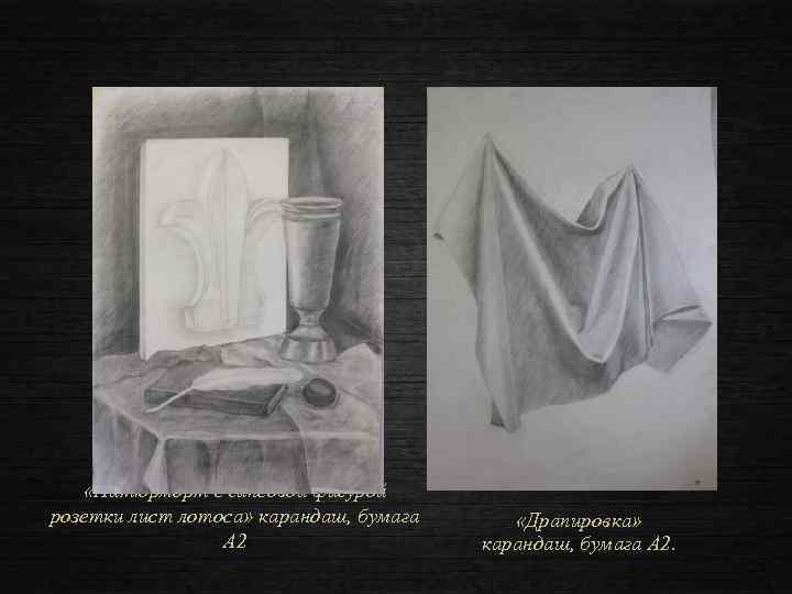  «Натюрморт с гипсовой фигурой розетки лист лотоса» карандаш, бумага А 2 «Драпировка» карандаш,