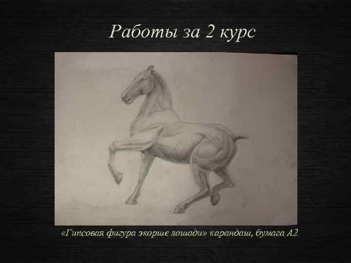Работы за 2 курс «Гипсовая фигура экорше лошади» карандаш, бумага А 2 