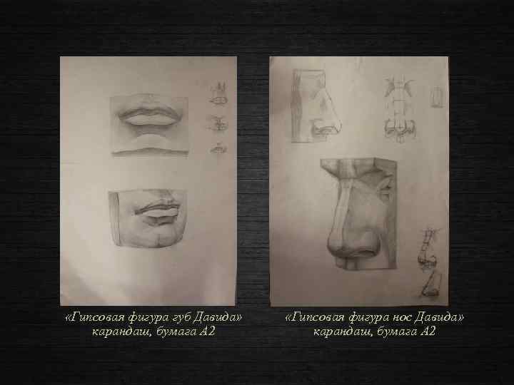  «Гипсовая фигура губ Давида» карандаш, бумага А 2 «Гипсовая фигура нос Давида» карандаш,