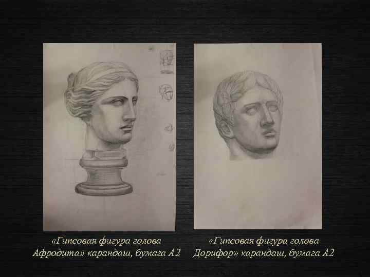  «Гипсовая фигура голова Афродита» карандаш, бумага А 2 «Гипсовая фигура голова Дорифор» карандаш,