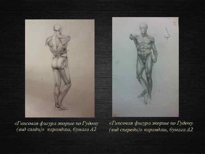  «Гипсовая фигура экорше по Гудону (вид сзади)» карандаш, бумага А 2 «Гипсовая фигура