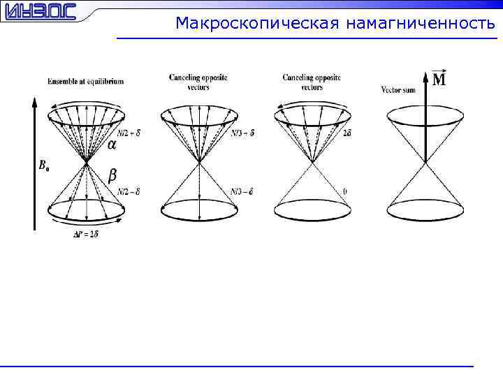 Макроскопическая намагниченность 