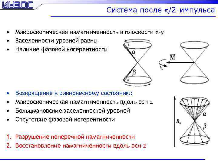 Система после p/2 -импульса • Макроскопическая намагниченность в плоскости x-y • Заселенности уровней равны