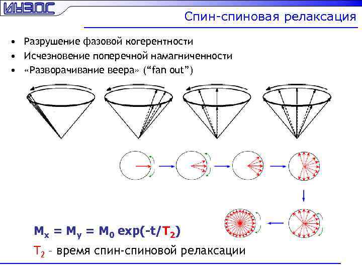 Спин-спиновая релаксация • Разрушение фазовой когерентности • Исчезновение поперечной намагниченности • «Разворачивание веера» (“fan