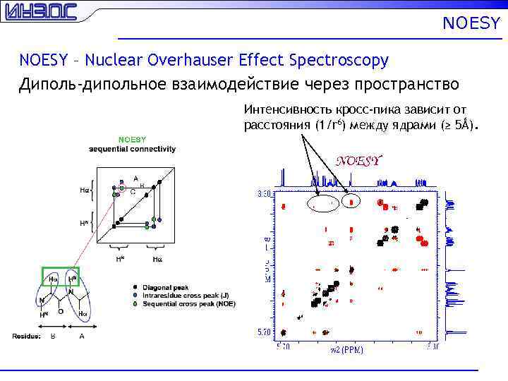 NOESY – Nuclear Overhauser Effect Spectroscopy Диполь-дипольное взаимодействие через пространство Интенсивность кросс-пика зависит от