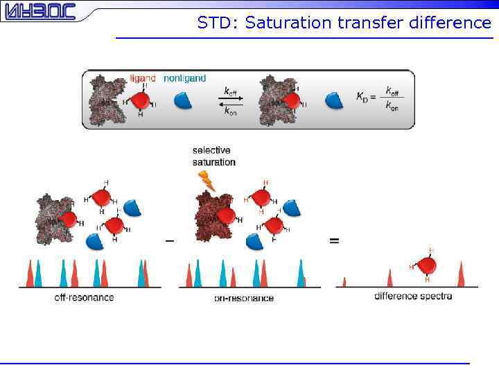 STD: Saturation transfer difference 