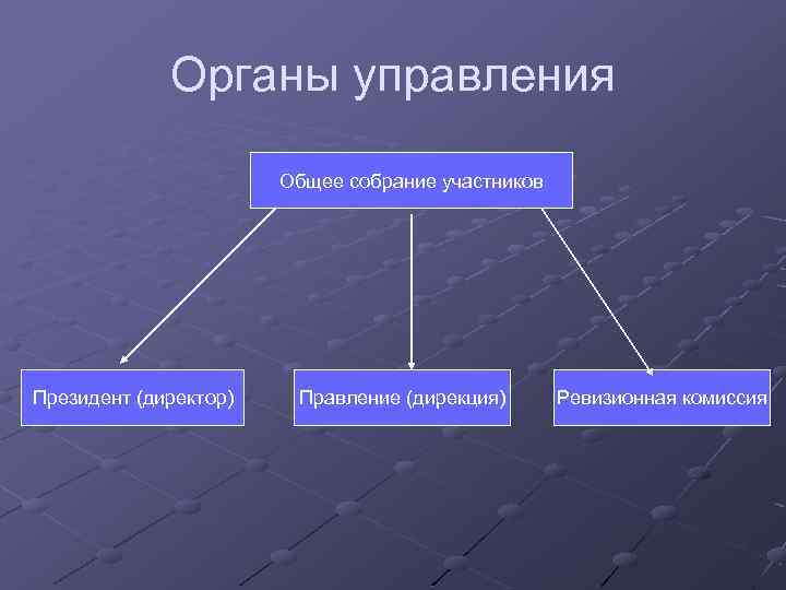 Органы управления Общее собрание участников Президент (директор) Правление (дирекция) Ревизионная комиссия 