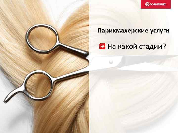 Парикмахерские услуги На какой стадии? 