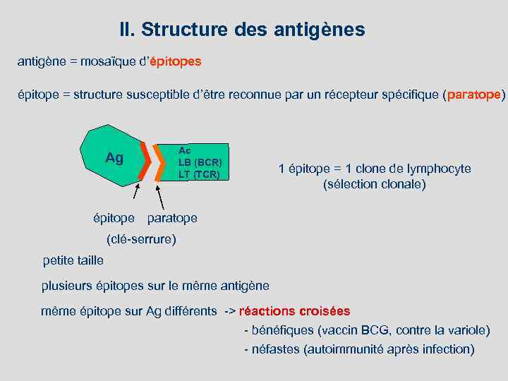 II. Structure des antigène = mosaïque d’épitopes épitope = structure susceptible d’être reconnue par