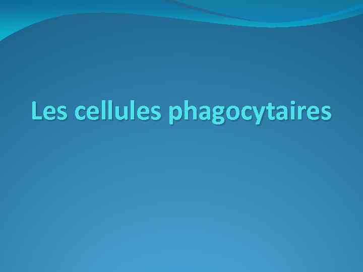 Les cellules phagocytaires 