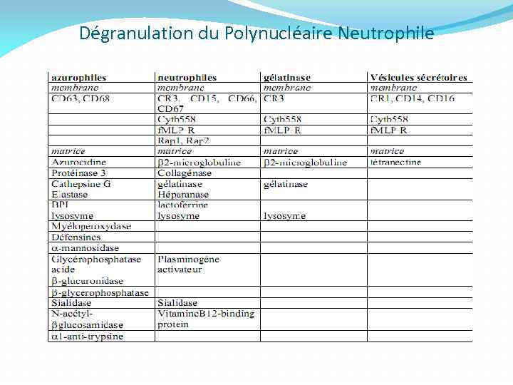 Dégranulation du Polynucléaire Neutrophile 