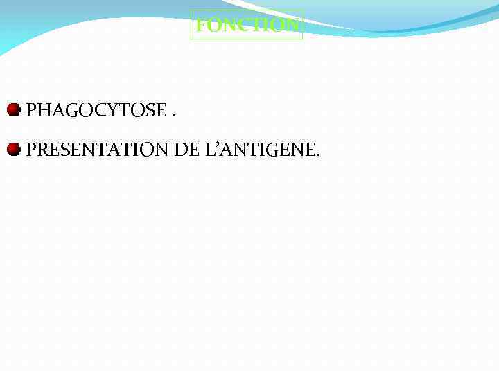 FONCTION PHAGOCYTOSE. PRESENTATION DE L’ANTIGENE. 