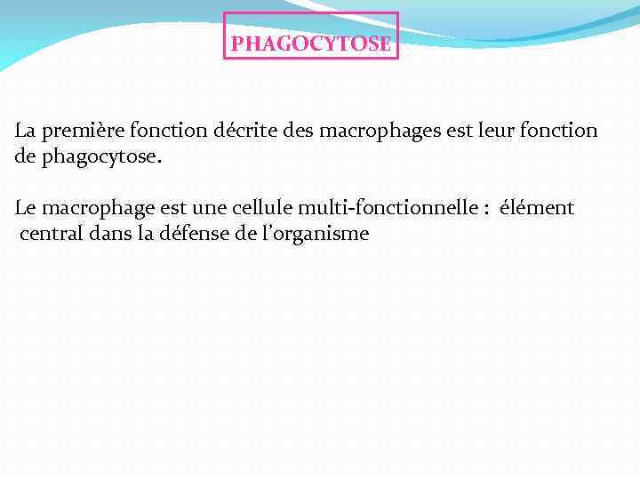 PHAGOCYTOSE La première fonction décrite des macrophages est leur fonction de phagocytose. Le macrophage