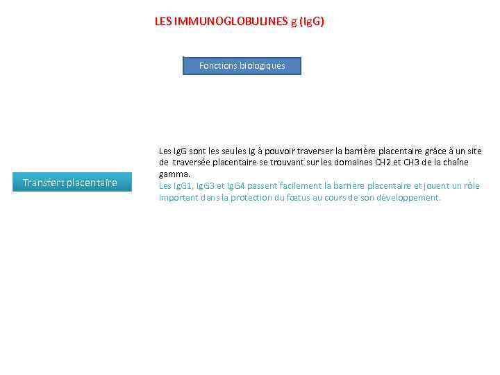 LES IMMUNOGLOBULINES g (Ig. G) Fonctions biologiques Transfert placentaire Les Ig. G sont les