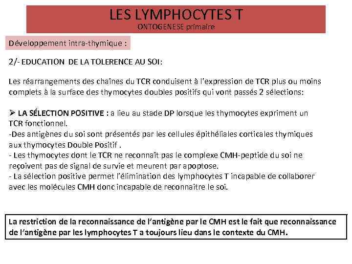 LES LYMPHOCYTES T ONTOGENESE primaire Développement intra-thymique : 2/- EDUCATION DE LA TOLERENCE AU