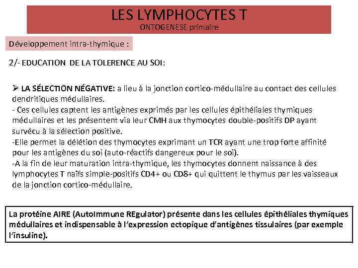 LES LYMPHOCYTES T ONTOGENESE primaire Développement intra-thymique : 2/- EDUCATION DE LA TOLERENCE AU