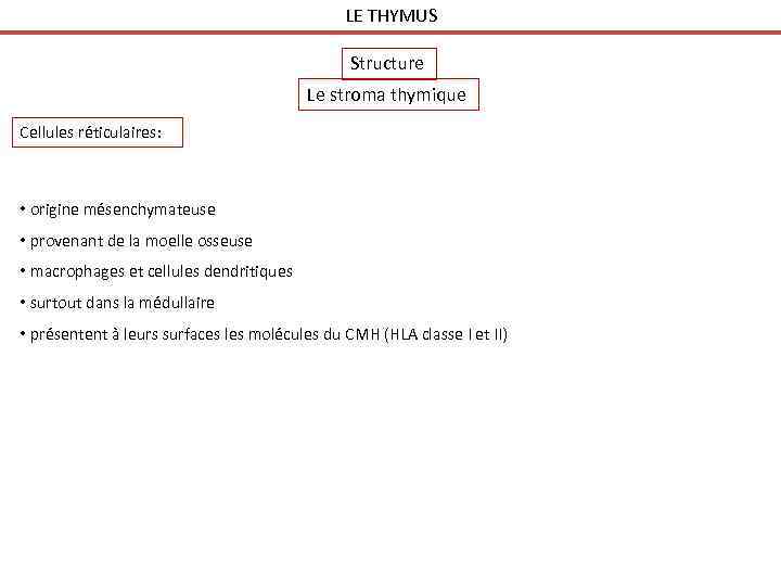 LE THYMUS Structure Le stroma thymique Cellules réticulaires: • origine mésenchymateuse • provenant de
