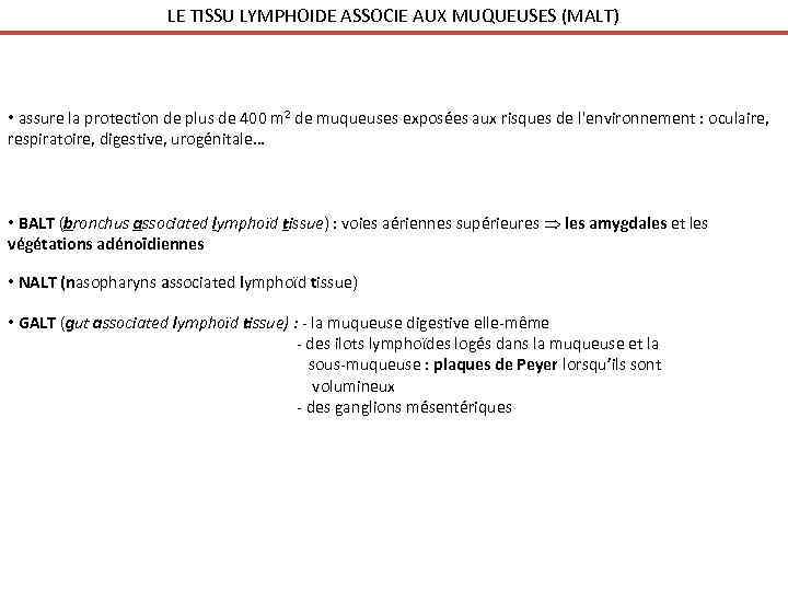 LE TISSU LYMPHOIDE ASSOCIE AUX MUQUEUSES (MALT) • assure la protection de plus de