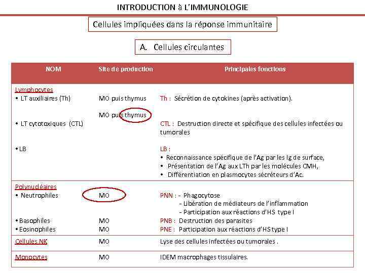 INTRODUCTION à L’IMMUNOLOGIE Cellules impliquées dans la réponse immunitaire A. Cellules circulantes NOM Lymphocytes