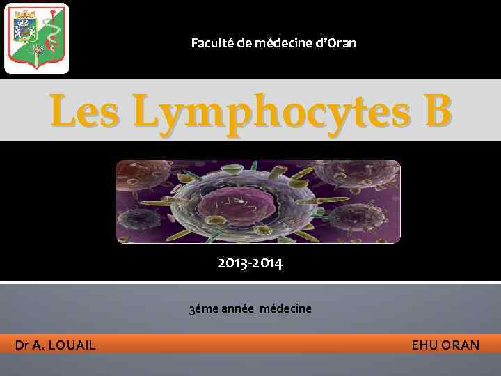 Faculté de médecine d’Oran Les Lymphocytes B 2013 -2014 3éme année médecine Dr A.