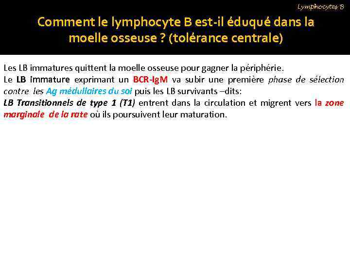 Lymphocytes B Comment le lymphocyte B est-il éduqué dans la moelle osseuse ? (tolérance