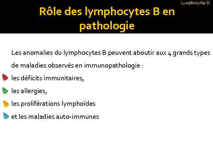 Rôle des lymphocytes B en pathologie Lymphocytes B Les anomalies du lymphocytes B peuvent