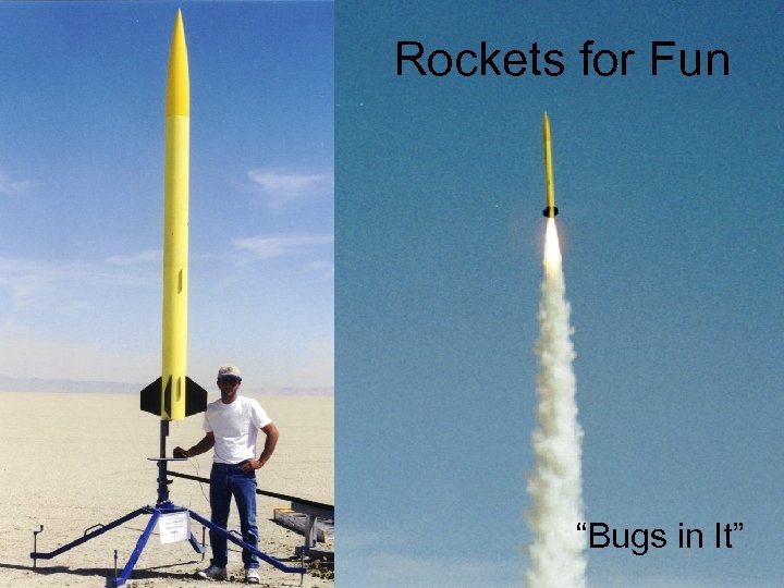 Rockets for Fun “Bugs in It” 