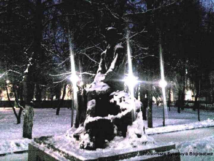 Памятник Бунину в Воронеже 